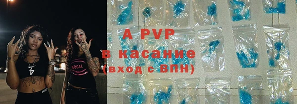 стаф Аркадак