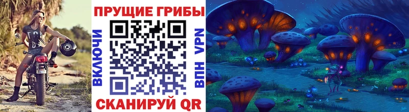 Псилоцибиновые грибы Cubensis  kraken как войти  Горняк 